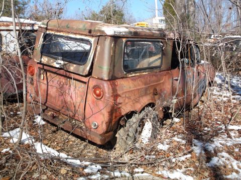 1974 Dodge Challenger - A rusty, abandoned orange SUV with a white roof is overgrown with branches and leaves. The vehicle is seen from the rear quarter angle, wit…
