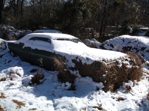 1974 Dodge Challenger - A vintage green coupe is partially buried in snow and overgrown with dry grass. The vehicle is parked outdoors in a wooded area, with snow…