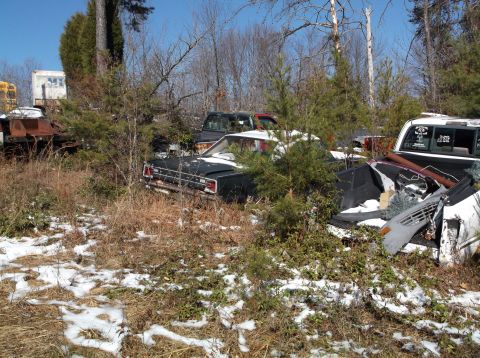 1974 Dodge Challenger - Several old cars are visible in a junkyard setting, partially obscured by vegetation.