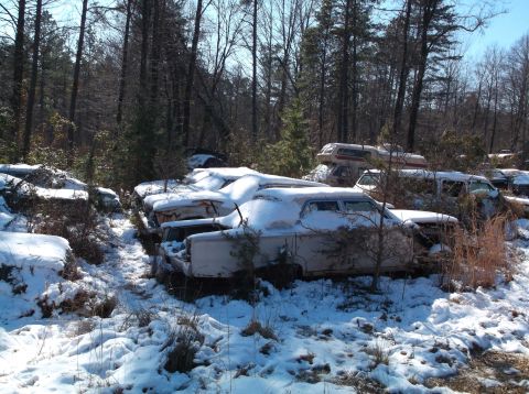 1974 Dodge Challenger - Several old, snow-covered vehicles are parked in a wooded junkyard setting. The vehicles appear to be classic American sedans and possibly…