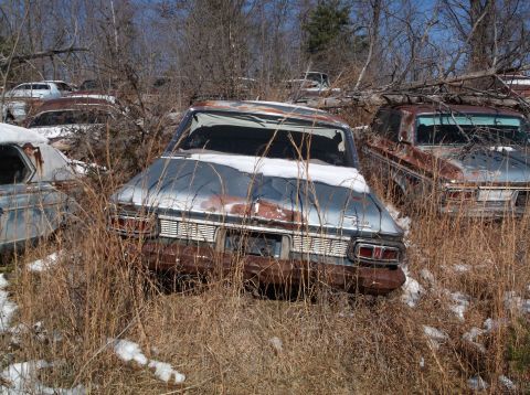 1974 Dodge Challenger - The rear view of a light blue, rusty, vintage sedan is visible, partially covered in snow and surrounded by dry grass and trees. Another ru…