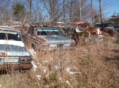 1974 Dodge Challenger - Several old, rusted vehicles are overgrown with dry grass and fallen branches in a wooded area. The foreground shows the rear of a light bl…