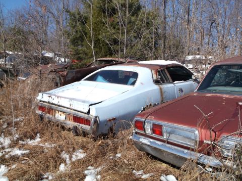 1974 Dodge Challenger - Two vintage cars, a light blue Dodge Challenger and a maroon car, sit in a junkyard setting surrounded by dry grass and trees. The light bl…