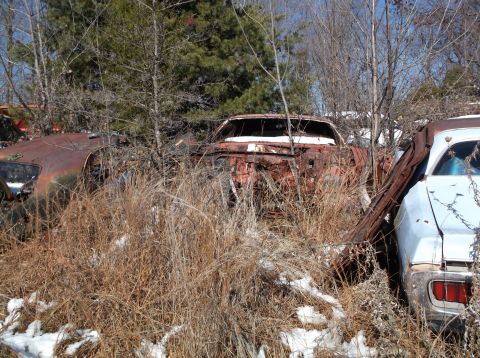 1974 Dodge Challenger - Two heavily rusted classic cars are parked outdoors amongst dry grass and trees, with patches of snow on the ground. The car on the left is…