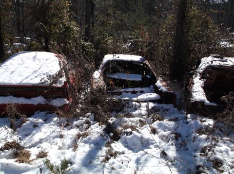1974 Dodge Challenger - Three old cars are partially covered in snow and surrounded by brush and trees. The car on the left is red, while the other two are mostly…