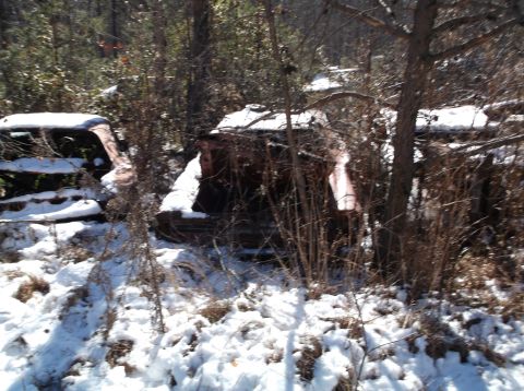1974 Dodge Challenger - Two abandoned, snow-covered car bodies are partially visible amongst trees and brush. The vehicle on the left appears to be a coupe with it…