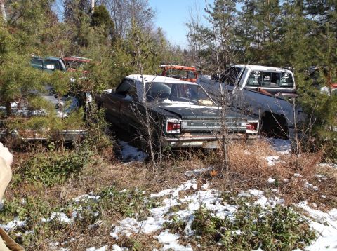1974 Dodge Challenger - A dark green vintage sedan with a white roof sits in a wooded area with patches of snow on the ground. Another vehicle, a dark pickup truck…