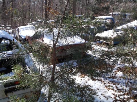 1974 Dodge Challenger - Several old, rusted cars are parked in a wooded area with snow on the ground. A pine tree in the foreground partially obscures the view of…