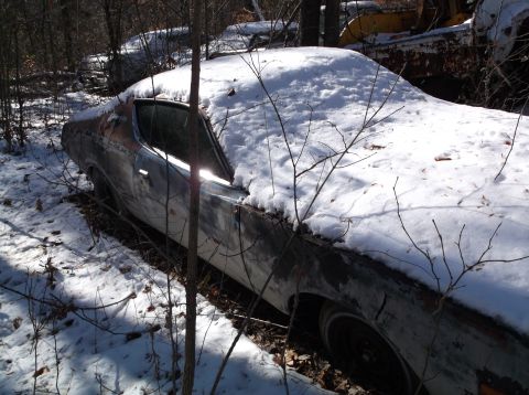 1974 Dodge Challenger - A vintage Dodge Challenger sits partially covered in snow in a wooded area, with branches from surrounding trees obscuring parts of the veh…