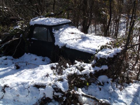 1974 Dodge Challenger - An abandoned dark-colored pickup truck is covered in snow and overgrown with vegetation in a wooded area.