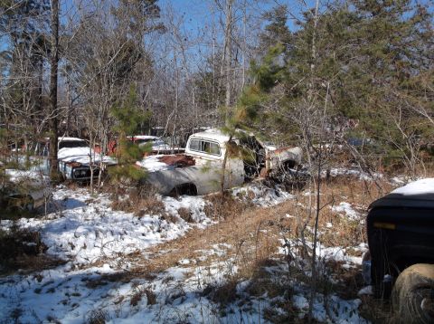 1974 Dodge Challenger - Several old, rusted pickup trucks are parked in a wooded area with snow on the ground. One white pickup truck is prominently visible in the…