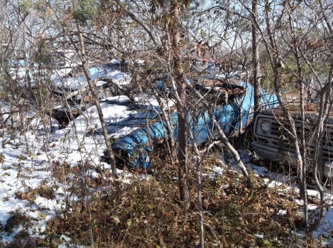 1974 Dodge Challenger - A rusty blue truck sits in a snowy, wooded area, partially obscured by trees and brush. The front end of a second vehicle, possibly a truck…