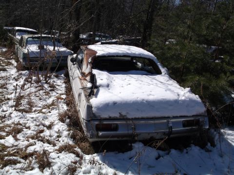 1974 Dodge Challenger - Abandoned vehicles are covered in snow in a wooded area, suggesting a long period of disuse.