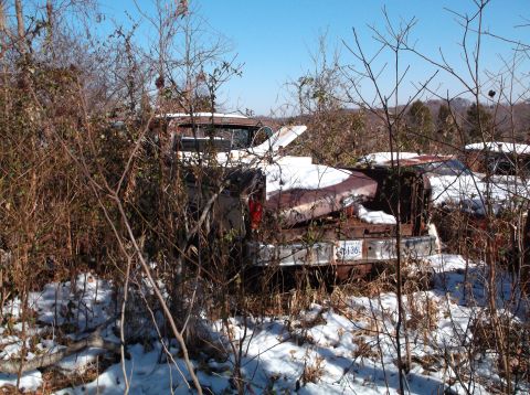 1974 Dodge Challenger - An old pickup truck sits abandoned in a snowy, overgrown lot, partially obscured by branches.