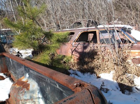 1974 Dodge Challenger - The rusted body of a vintage station wagon sits partially buried in snow and surrounded by bare trees, with a young pine tree growing throu…