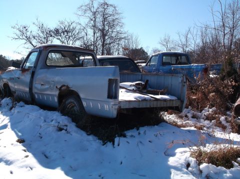 1974 Dodge Challenger - Two old pickup trucks sit in a snowy, wooded area under a clear blue sky. The truck in the foreground is a light-colored, two-door model wi…