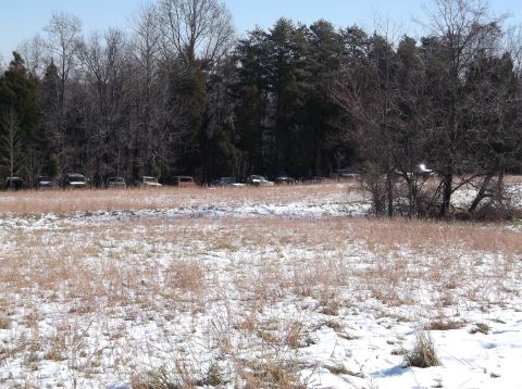 1974 Dodge Challenger - Several older vehicles are parked in a line along the edge of a wooded area, with a field covered in patchy snow in the foreground.