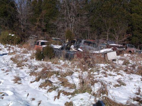 1974 Dodge Challenger - Several old, rusted vehicles are parked in a wooded area with snow on the ground. The vehicles appear to be various models of trucks and SU…