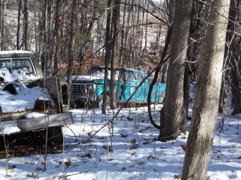 1974 Dodge Challenger - Several vehicles are visible in a snowy, wooded environment, with one car showing a teal-colored roof.