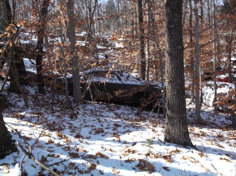 1974 Dodge Challenger - An old car sits abandoned in a snowy forest, partially obscured by trees and fallen leaves.