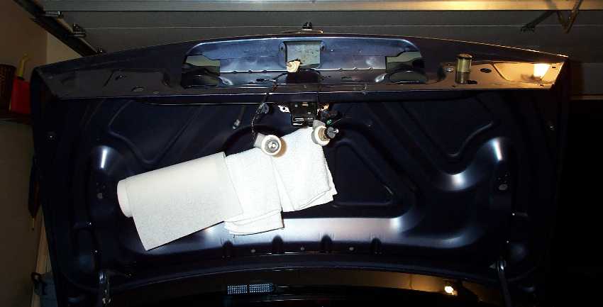 The trunk, with the rear fascia removed.