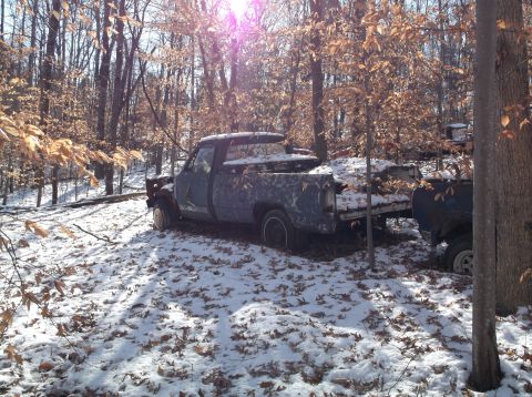 1974 Dodge Challenger - A pickup truck sits in a snowy, wooded environment, partially obscured by trees and fallen leaves.