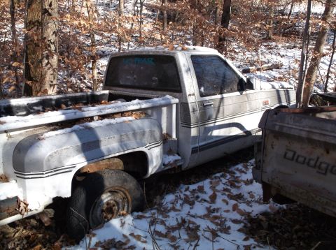1974 Dodge Challenger - A white pickup truck sits abandoned in a snowy, wooded area next to another vehicle.