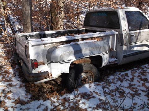 1974 Dodge Challenger - A white pickup truck sits abandoned in a snowy, wooded area, partially covered in leaves.