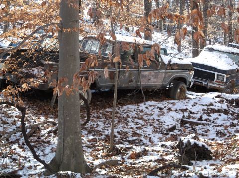 1974 Dodge Challenger - Abandoned Ford F-Series and another pickup truck covered in snow and leaves in a forest setting.
