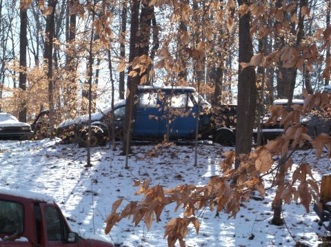 1974 Dodge Challenger - Several vehicles are parked in a wooded area during winter, covered in snow.