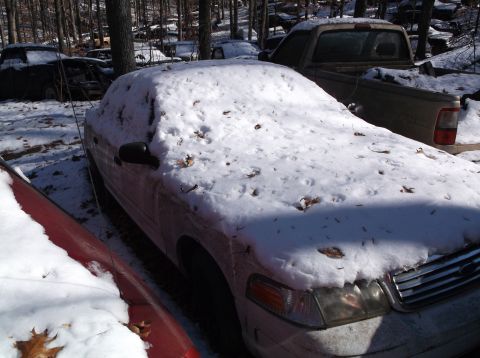 1974 Dodge Challenger - A sedan sits under a blanket of snow in a wooded junkyard, with other vehicles visible in the background.
