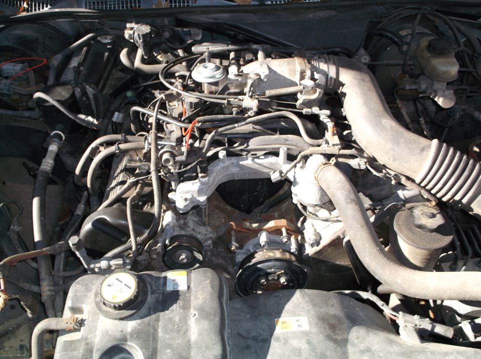 Engine bay with hoses, belts, and engine components visible. Water reservoir cap is prominent