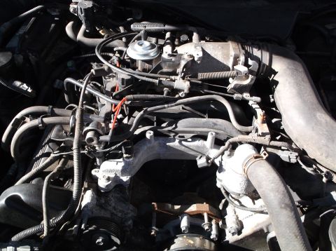 1974 Dodge Challenger - Close-up view of an engine bay, showing various hoses, the intake manifold, and other engine components.