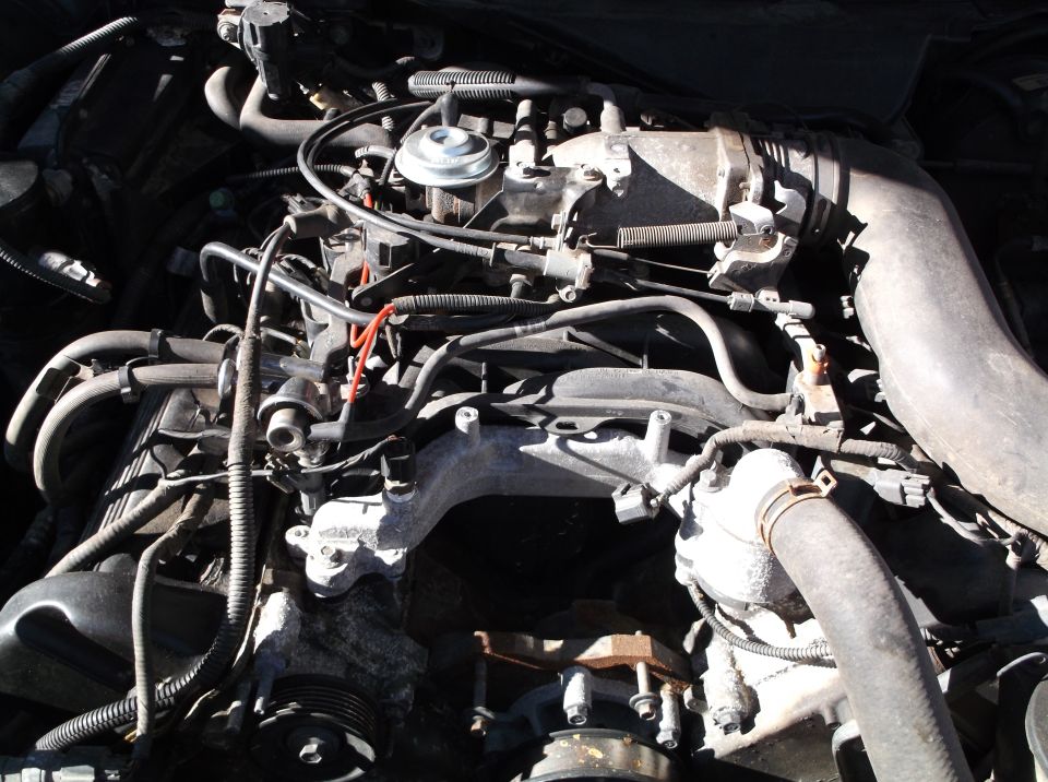 Engine bay with hoses and intake manifold