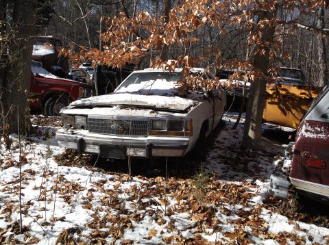 1974 Dodge Challenger - An old sedan sits in a snowy junkyard, surrounded by trees and fallen leaves.