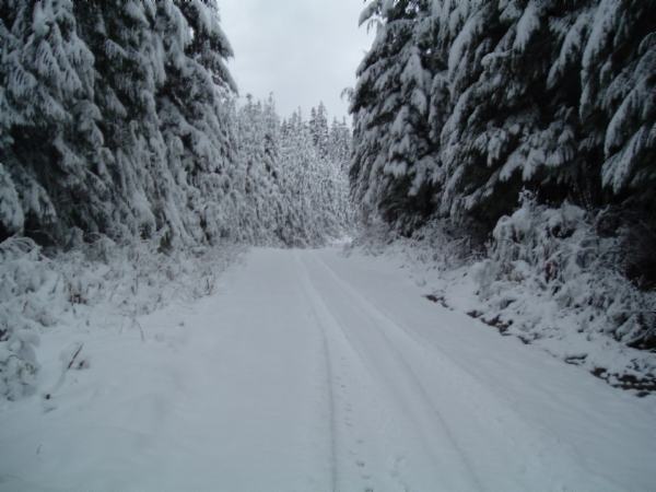 Lots of Fresh Snow