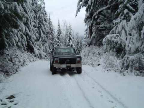 1985 Ford Bronco photo