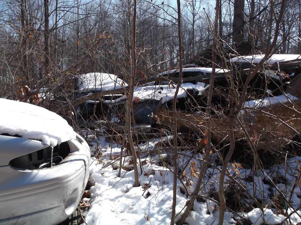 Snow-covered silver car front with icicles, surrounded by trees and other snow-covered vehicles.