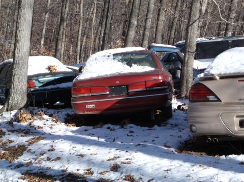 1974 Dodge Challenger - Several old cars are parked in a wooded area covered in snow. The most visible car is a red sedan with its rear facing the camera.