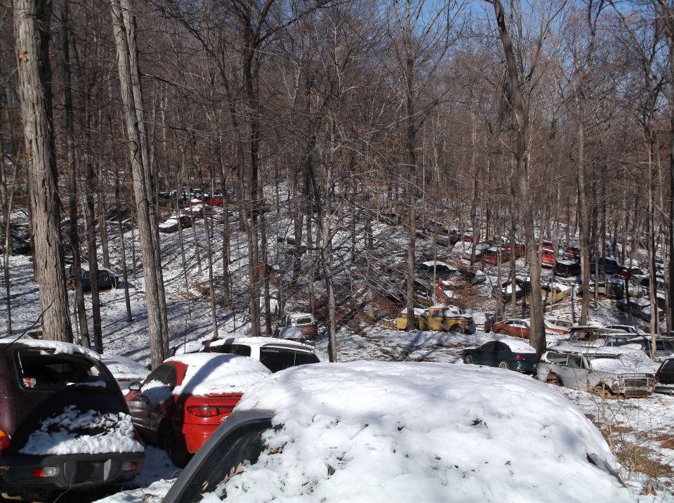 Snow-covered junkyard with many old cars and trucks in a wooded area.