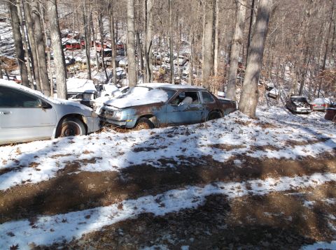 1974 Dodge Challenger - Two old cars are parked in a wooded area covered in snow. The car in the foreground is a light-colored sedan, and the car behind it is a ru…