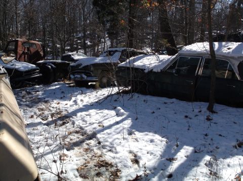 1974 Dodge Challenger - Several old cars are parked in a snowy wooded area. One car in the foreground is dark green with snow on its roof and hood.