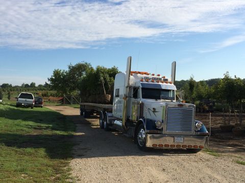 2003 Peterbilt 379 photo