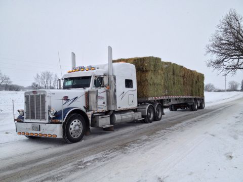 2003 Peterbilt 379 photo