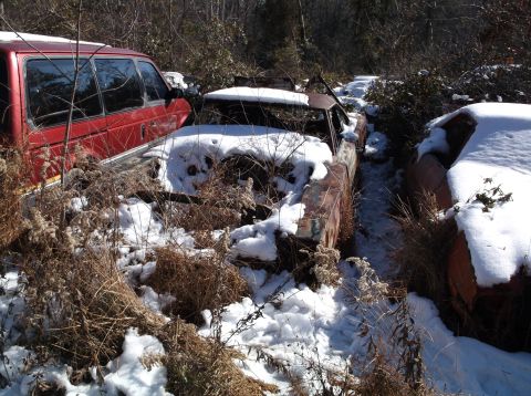1974 Dodge Challenger - Two rusty classic cars are partially covered in snow and overgrown with dry vegetation. A red minivan is parked to the left of the scene.