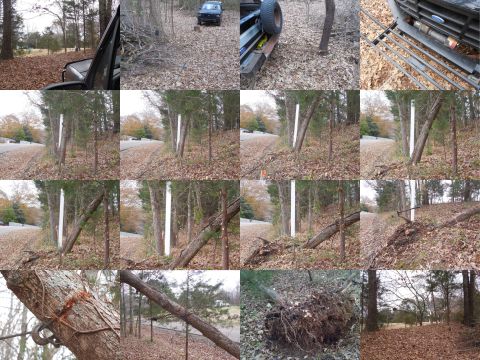 1983 Ford Bronco - This live tree is where I want to put a driveway, and it overhangs the road, so I didn't want to chainsaw it. I decided to winch it out so…