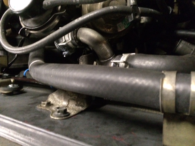 Engine bay hoses and clamps