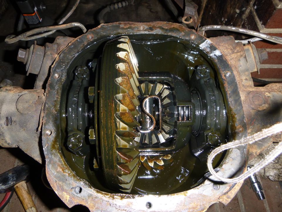 Open differential with gears and lubricant