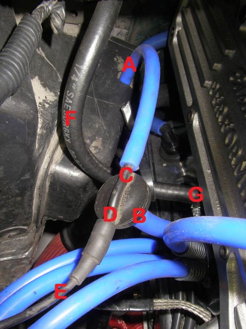 1990 Ford Bronco - Close-up view of engine bay components, including blue vacuum lines and labeled parts.