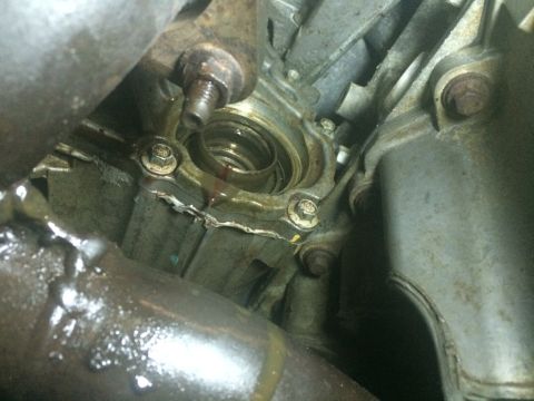 2011 Ford Elite - This image shows a close-up view of a leaking engine oil seal, highlighting the internal components and fluid seepage.